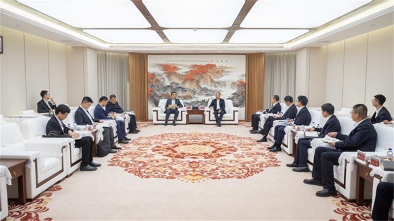 莫鼎革与中国中化党组成员、副总经理陈成敏举行会谈