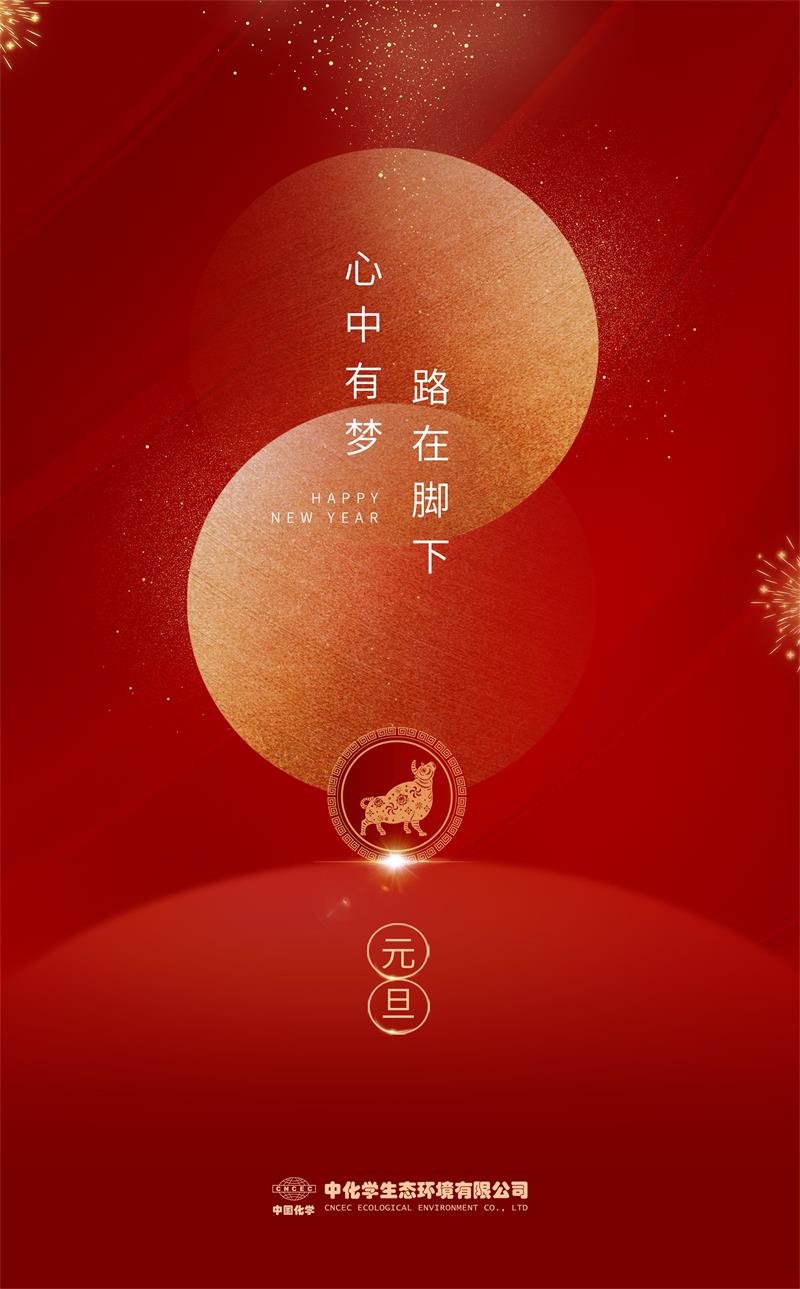 元旦海报2.jpg