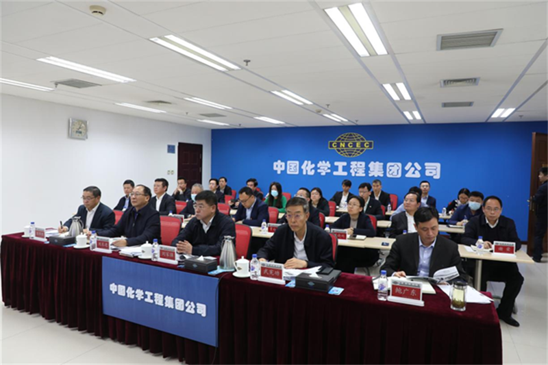 全面加强涉外法治工作 提高海外风险防控能力——中国化学召开海外风险防控与法治工作视频会