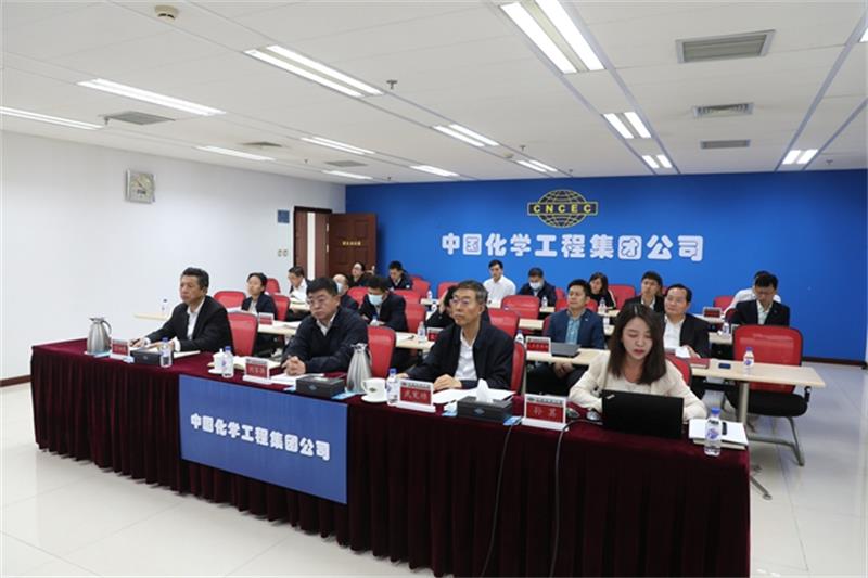 中国化学召开参股管理工作视频会议