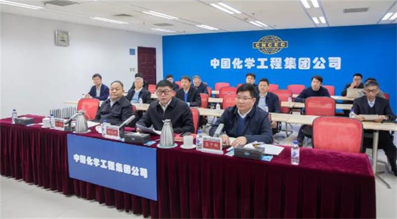 中国化学召开贯彻落实全国安全生产电视电话会议精神专题视频会议