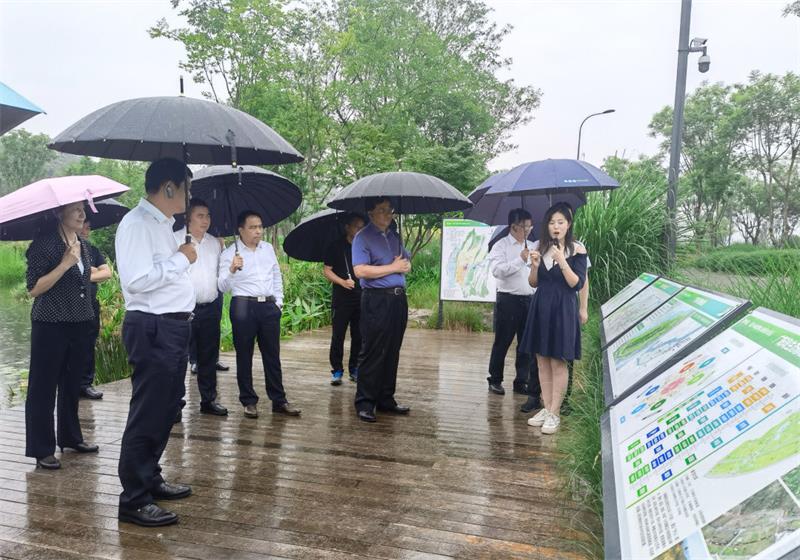 戴和根到重庆广阳湾智创生态城考察调研