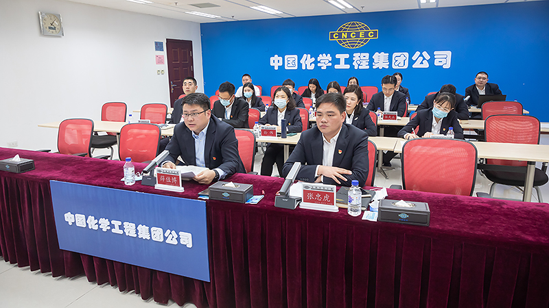中国化学团委召开全体（扩大）会议 学习宣传贯彻党的二十大精神 持续推动青年精神素养提升工程