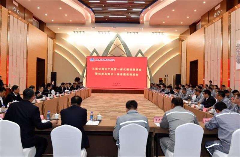 戴和根出席三级公司生产经营一体化建设座谈会暨裕龙岛炼化一体化建设推进会