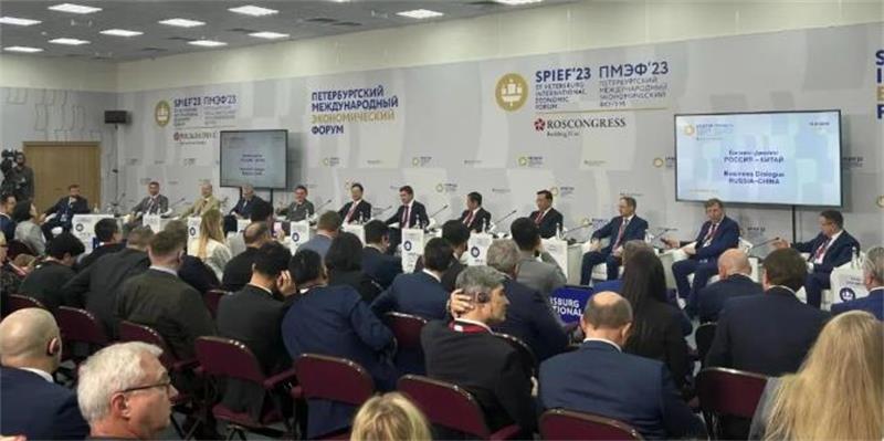 戴和根出席圣彼得堡国际经济论坛并开展系列商务活动
