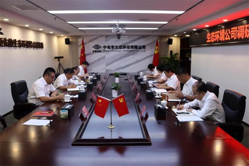 突出问题导向 破解发展难题 | 生态环境公司党委召开主题教育调研成果交流会