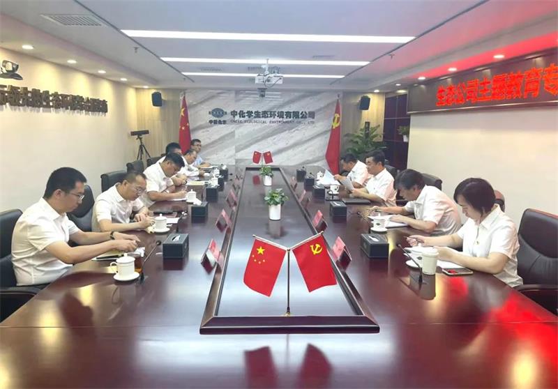 中化学生态环境公司党委召开学习贯彻习近平新时代中国特色社会主义思想主题教育专题民主生活会