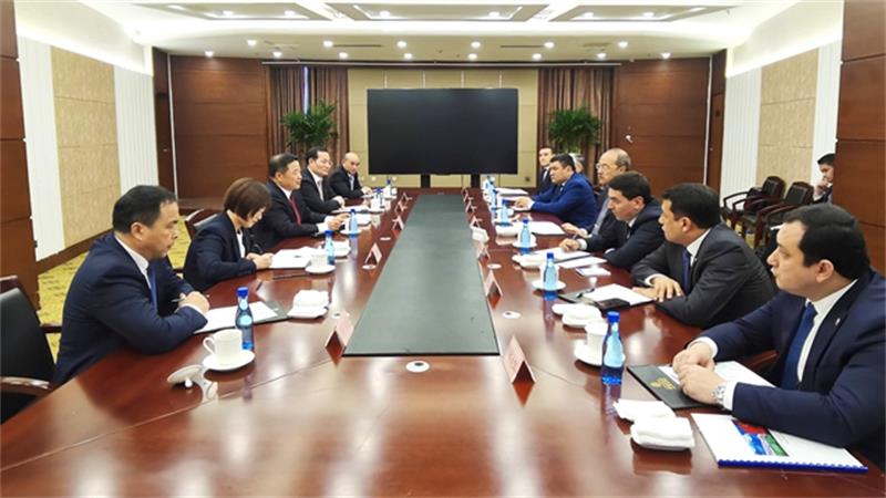 文岗与乌兹别克斯坦总理阿里波夫举行会谈