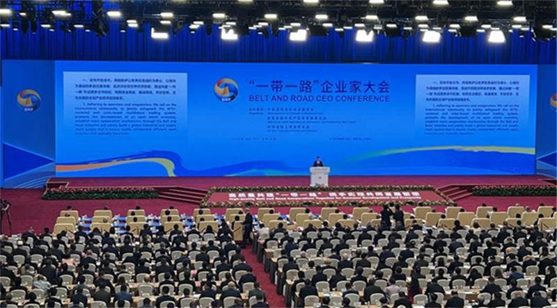 戴和根出席“一带一路”企业家大会并接受央视采访