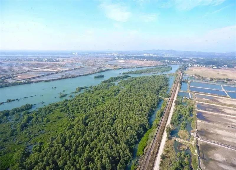 学习强国平台介绍生态环境公司实施广西钦州康熙岭养殖尾水生态治理成效