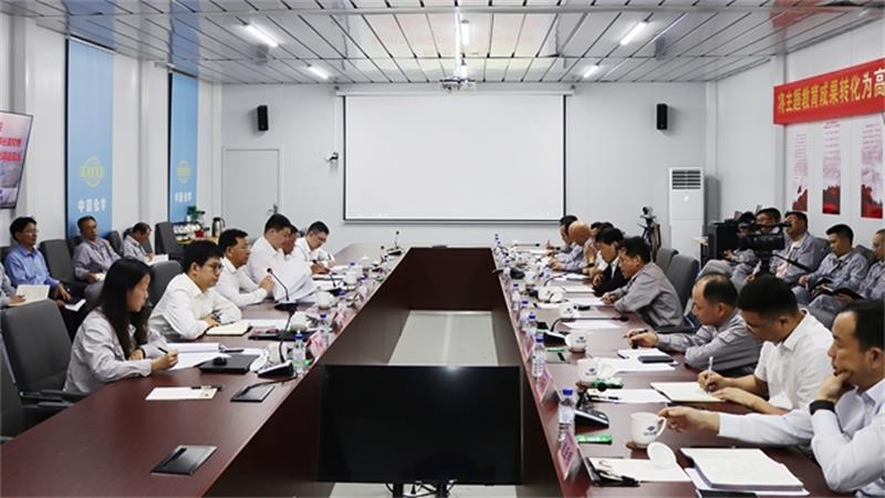 戴和根到湛江一体化项目调研指导工作