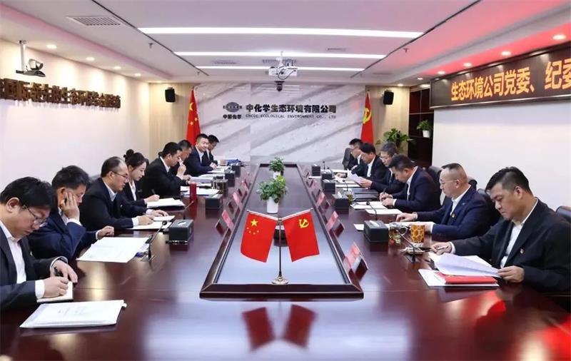 生态环境公司党委与纪委召开2024年全面从严治党专题会商会议
