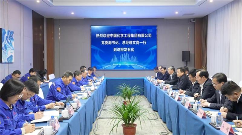 文岗与裕龙石化主要领导举行会谈