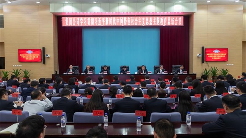 中国化学党委召开学习贯彻习近平新时代中国特色社会主义思想主题教育总结会议