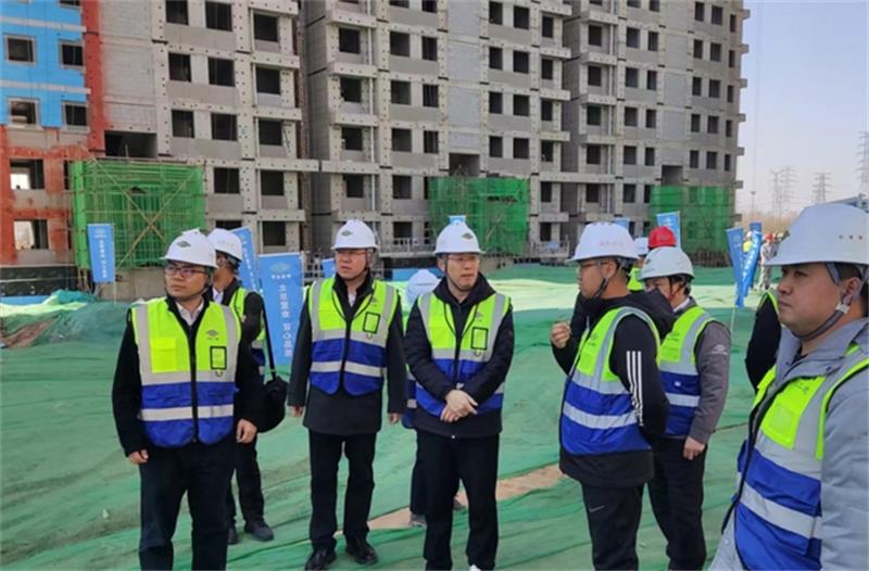 胡富申到狼垡集租房项目开展复工复产安全大检查