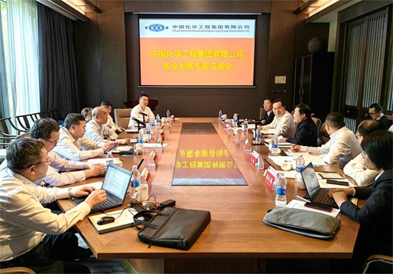 中国化学召开实业发展专家咨询会