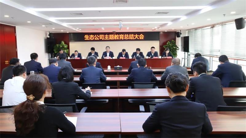 生态环境公司党委召开学习贯彻习近平新时代中国特色社会主义思想主题教育总结会议