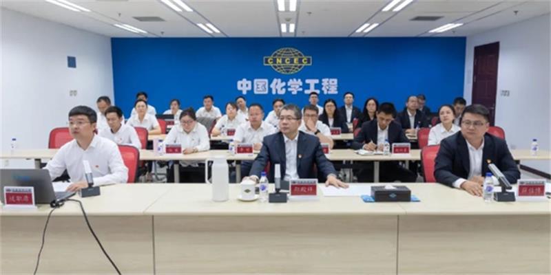 中国化学团委召开全体（扩大）会议