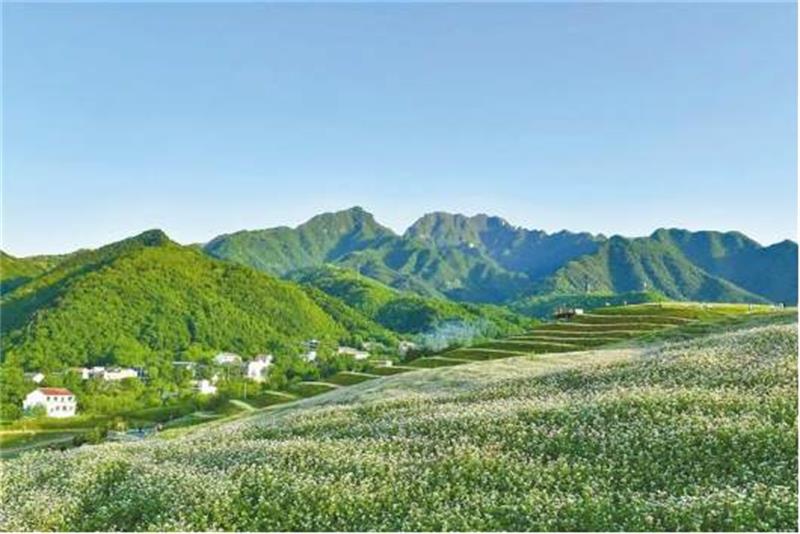 【陕西日报】山水之间 向美而变
