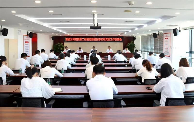 集团公司党委第二巡视组向中化学生态环境有限公司党委反馈巡视情况