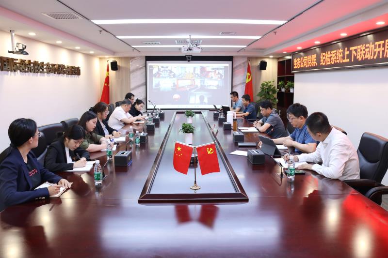 生态环境公司召开党群、纪检系统 上下联动开展巡视整改再动员再部署会议
