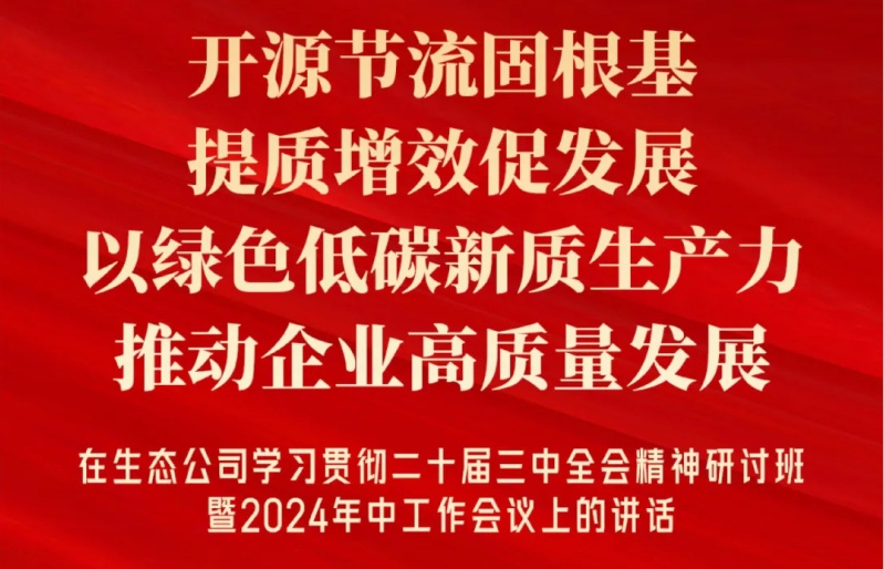 一图读懂 | 邵程旺在生态公司学习贯彻二十届三中全会精神研讨班暨2024年中工作会议上的讲话