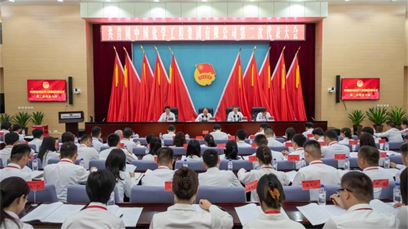 中国化学第二次团代会胜利召开