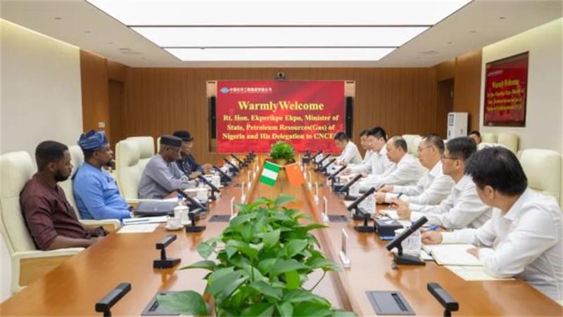 莫鼎革与尼日利亚国家石油资源（天然气）部国务部长举行会谈