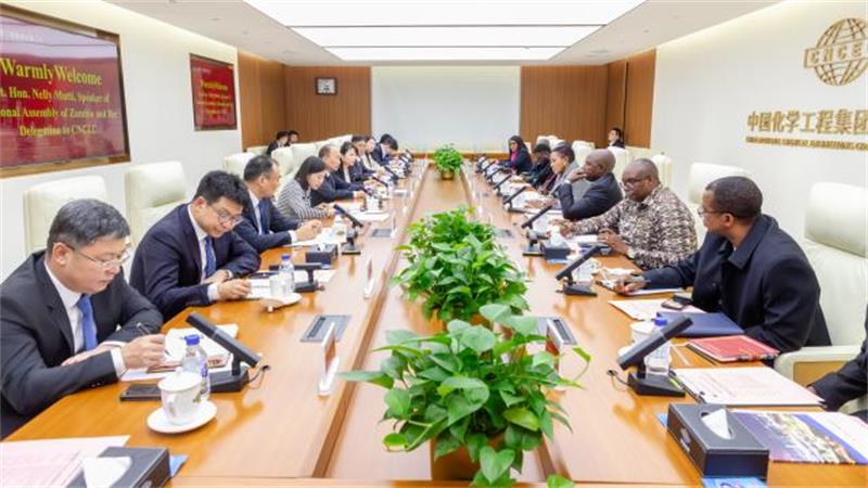 赞比亚国民议会议长内莉·穆蒂率团参访中国化学