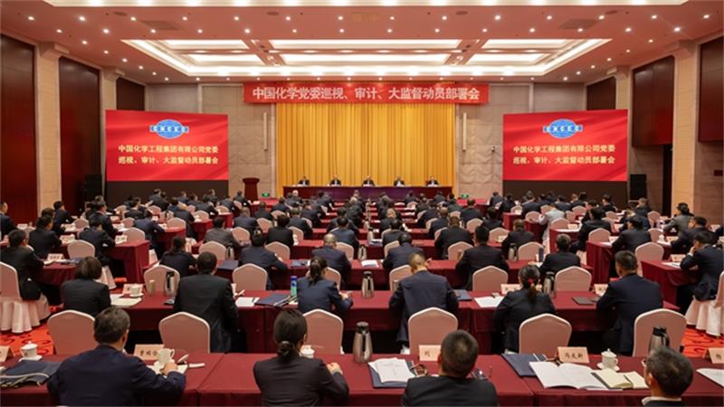 中国化学党委召开巡视、审计、大监督动员部署会