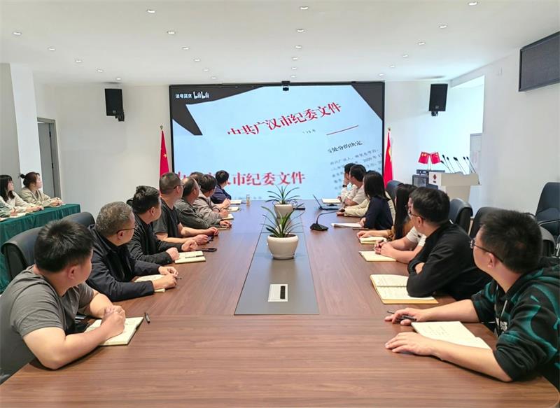 中国化学生态公司西南分公司开展深入贯彻中央八项规定精神与全国两会精神专题学习