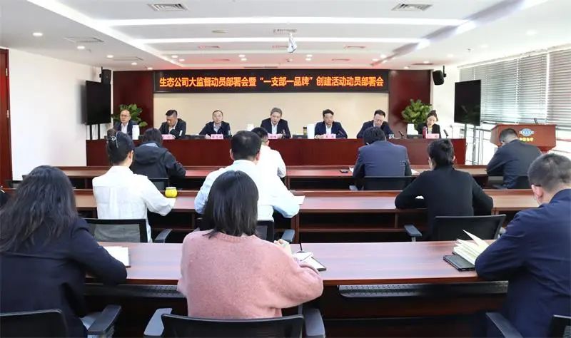 中国化学生态公司召开巡察、审计、大监督动员部署会暨“一支部一品牌”创建活动动员部署会 