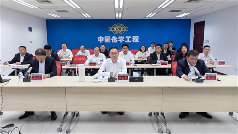 中国化学召开5月安全质量环保工作例会暨质量大检查专项行动动员部署会议
