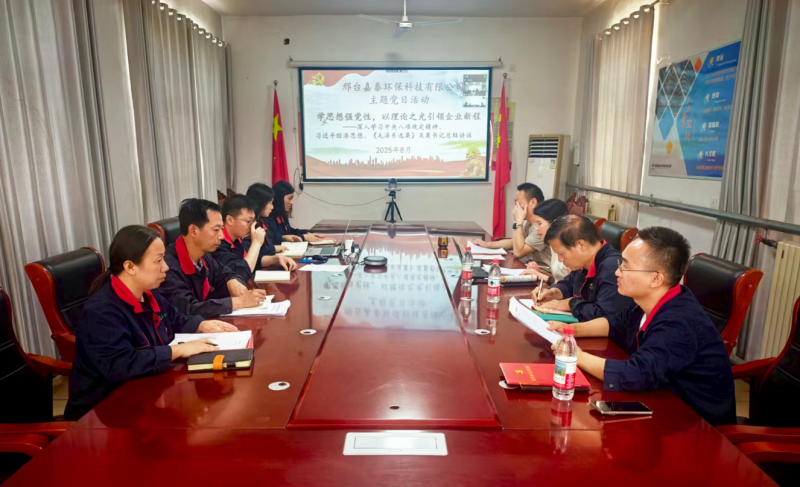 中国化学生态公司所属嘉泰公司党支部开展“学思想强党性，以理论之光引领企业新程”主题党日活动