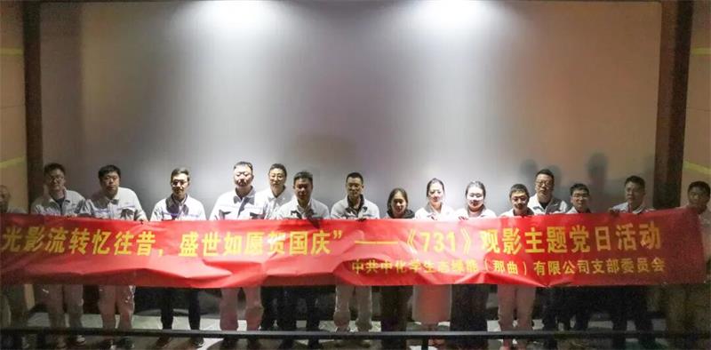 中国化学生态公司所属绿能公司党支部组织开展“光影流转忆往昔，盛世如愿贺国庆”主题党日活动
