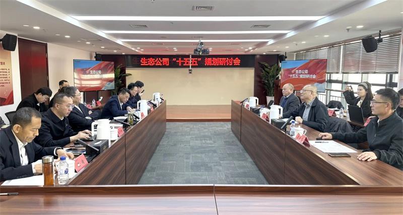 中国化学生态公司召开“十五五” 规划研讨会