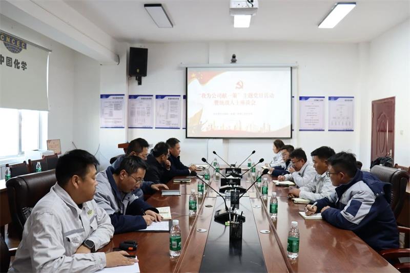 中国化学生态公司所属绿能公司党支部召开“我为公司献一策”主题党日活动暨统战人士座谈会