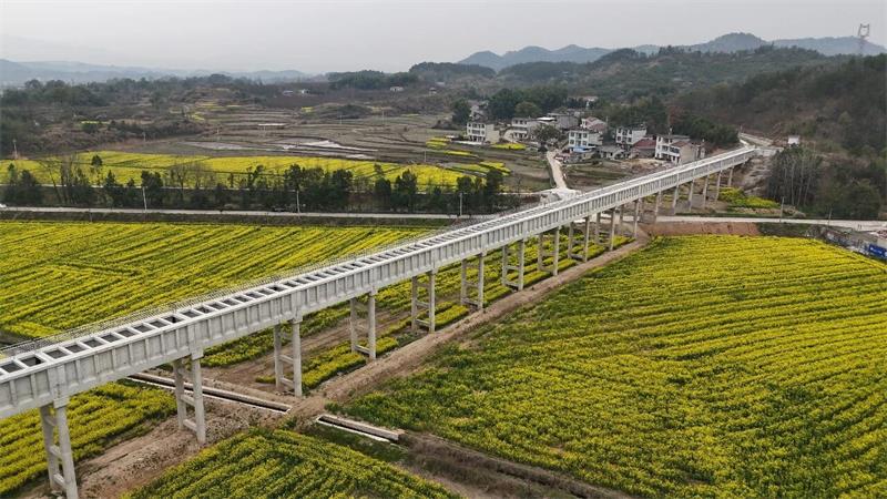 大干四季度 | 中国化学生态公司蕲水灌区项目大同干渠顺利通过分部工程验收